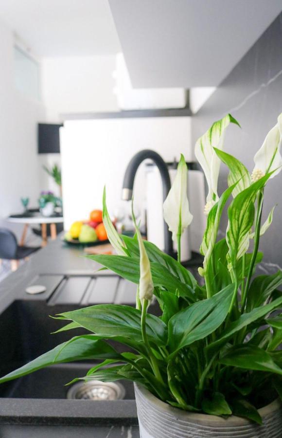 Cosmo Apartment Dubrovnik Eksteriør billede